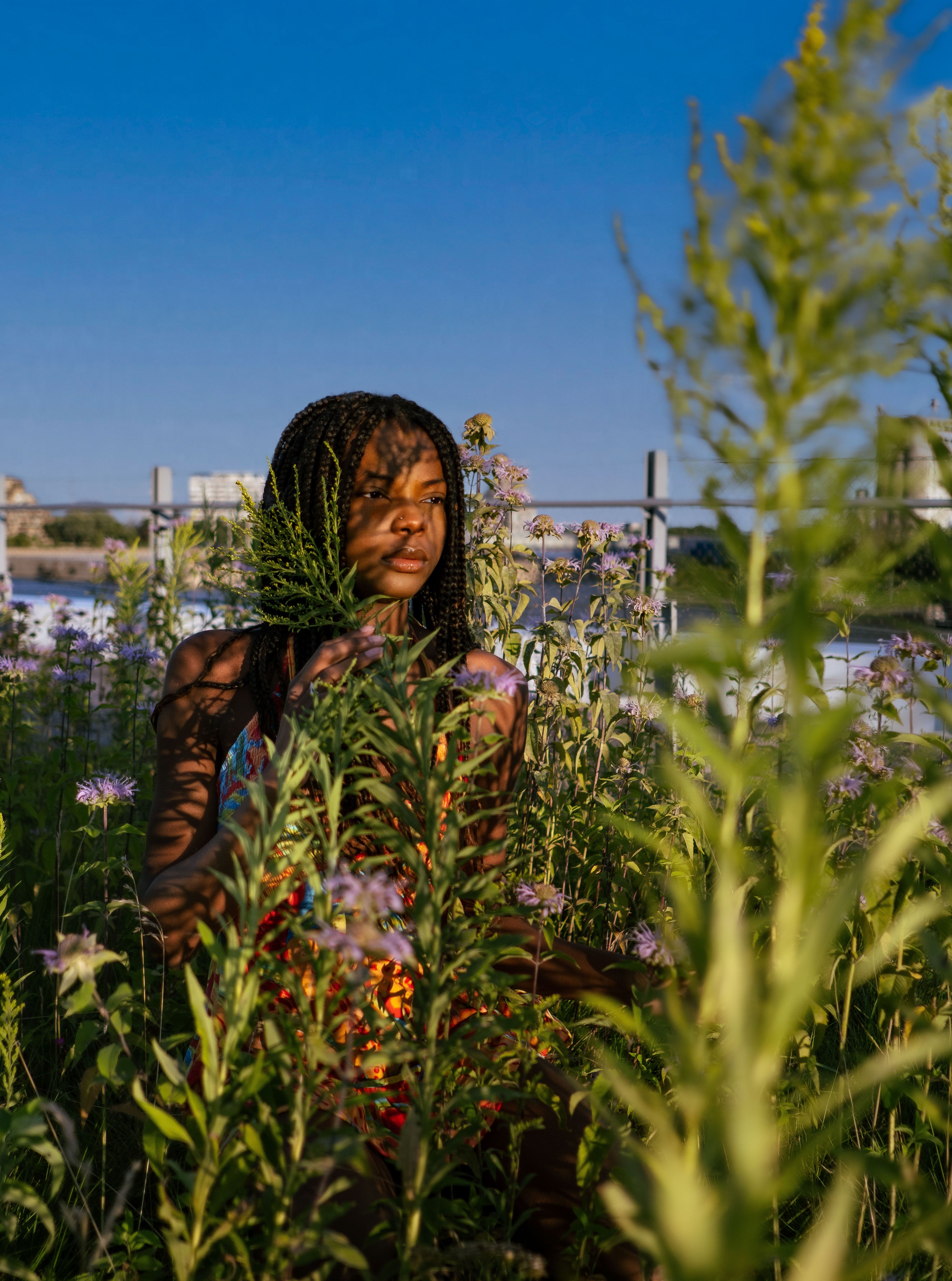A woman in a field of flowers · Free Stock Photo