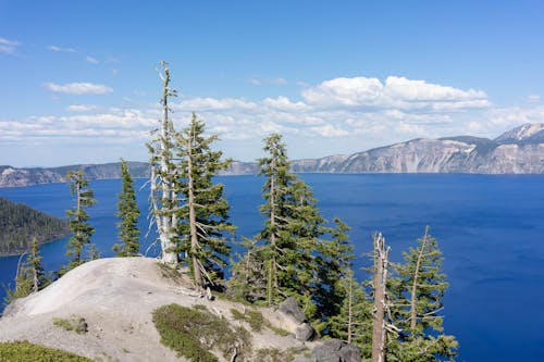 天性, 山, 景觀 的 免费素材图片