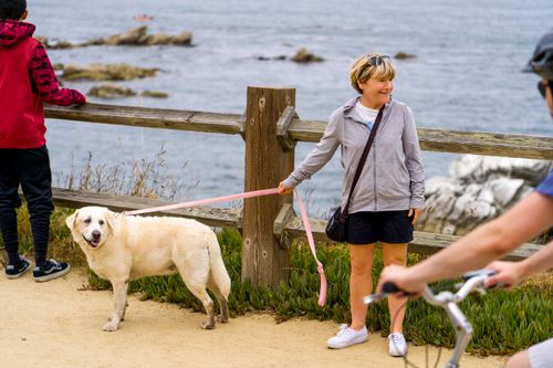 Free Woman with Labrador on a scenic coastal walk in Pacific Grove, California. Stock Photo