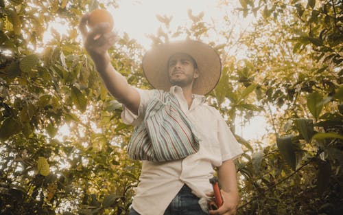 Man in an Orchard