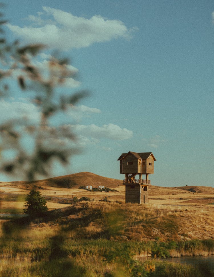 Baba Yaga Houe On Meadow