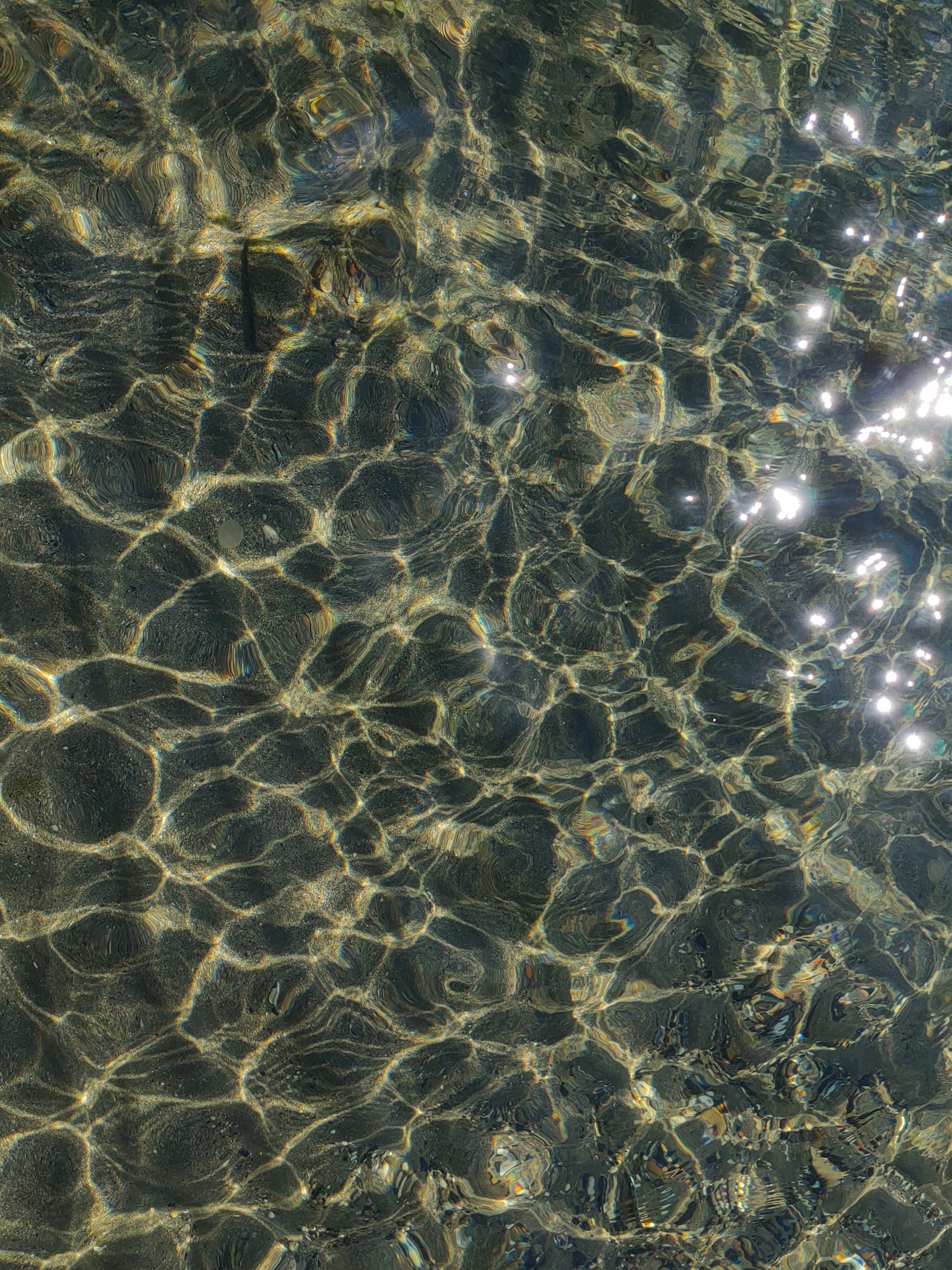 Sun Shinning on Water · Free Stock Photo