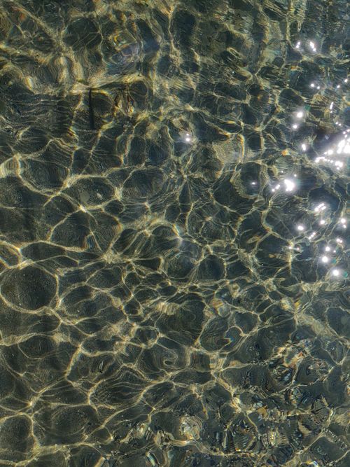 Free Close-up view of shimmering water ripples reflecting sunlight, creating natural patterns. Stock Photo