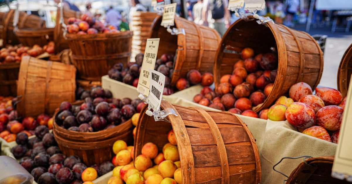Every Saturday Morning on Mulberry: What to Know About the Denton Community Market
