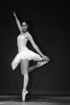 Graceful ballet dancer posing elegantly with one arm raised in a monochrome setting.