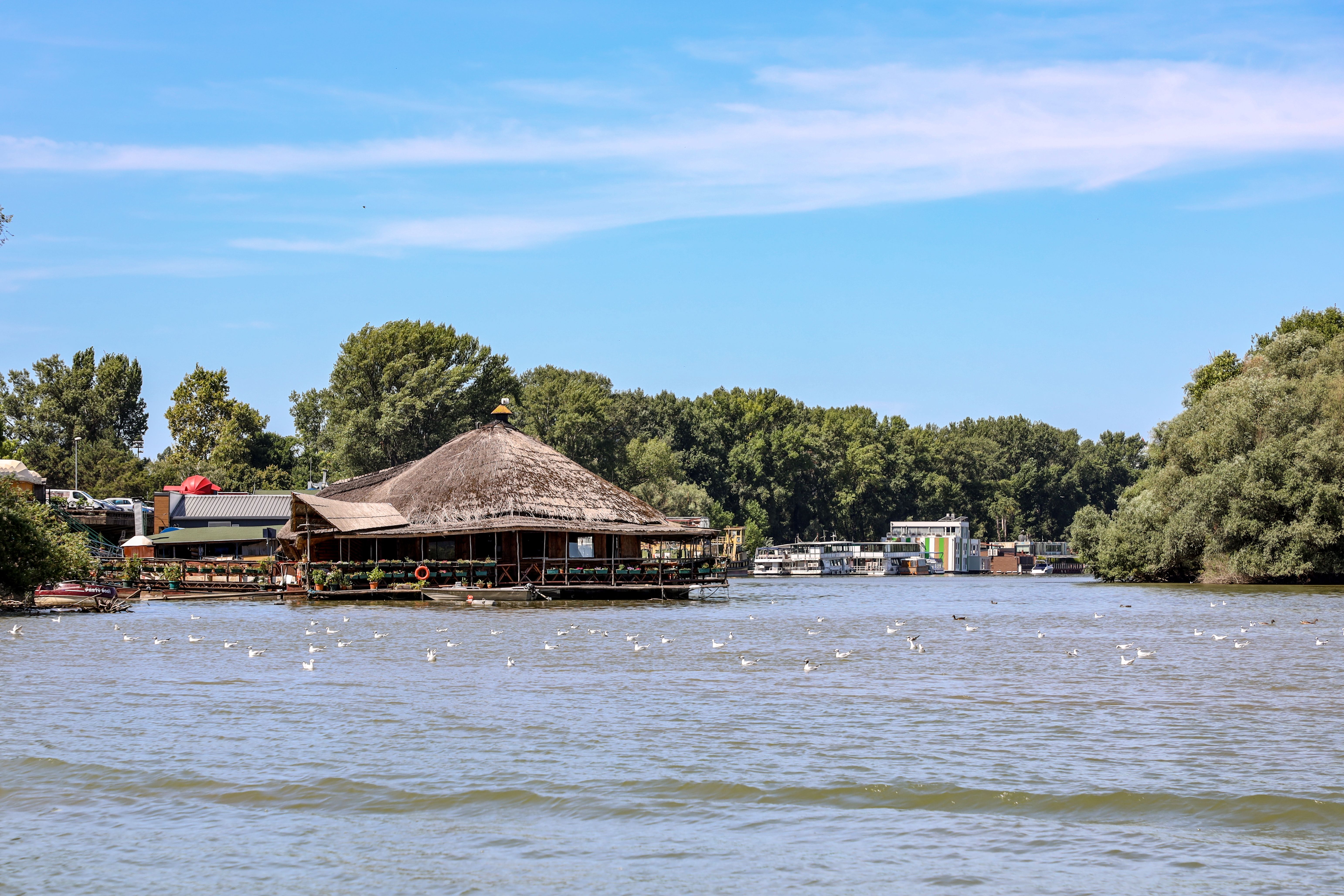 Delta del Danubio