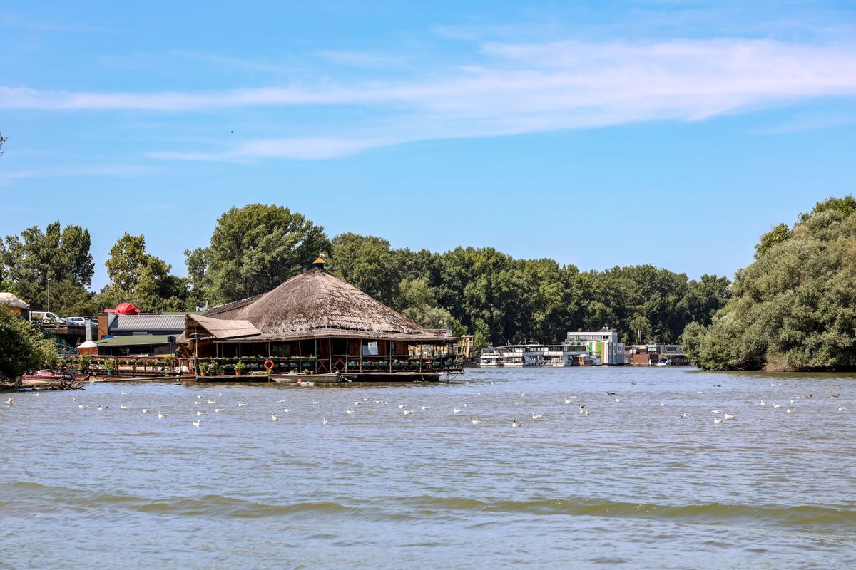 Ponton cu acoperis de stuf si vaporase pe Dunare
