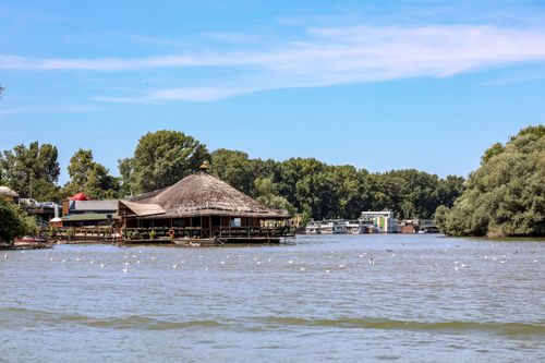 Free A beautiful lakeside view with seagulls, a thatched roof building, and lush trees under a clear sky. Stock Photo