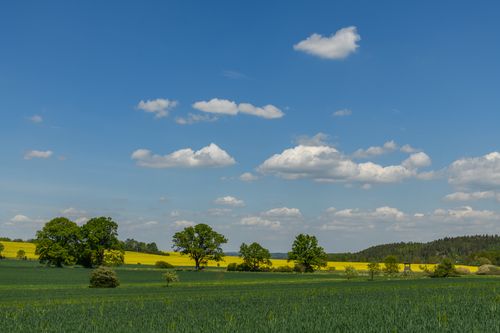 Free Idyllic countryside landscape featuring lush green fields and a vibrant blue sky with scattered clouds. Stock Photo