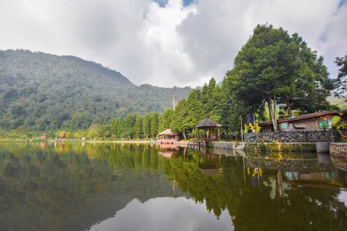 puncak bogor, 경치, 보고 르의 무료 스톡 사진