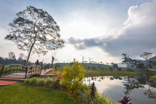 puncak bogor, 경치, 보고 르의 무료 스톡 사진