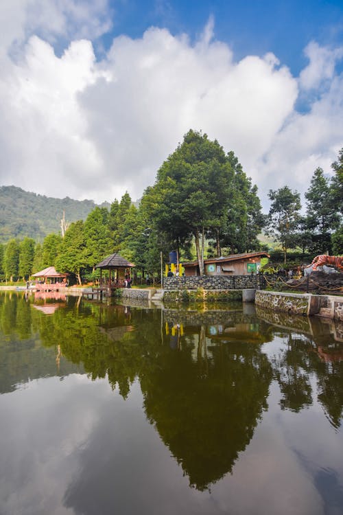 View of a Body of Water, Trees and Mountains in Distance 