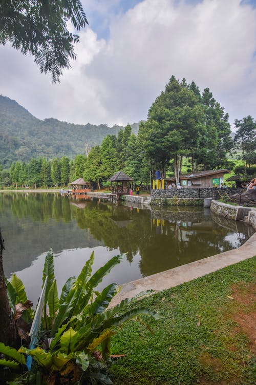 puncak bogor, 경치, 보고 르의 무료 스톡 사진