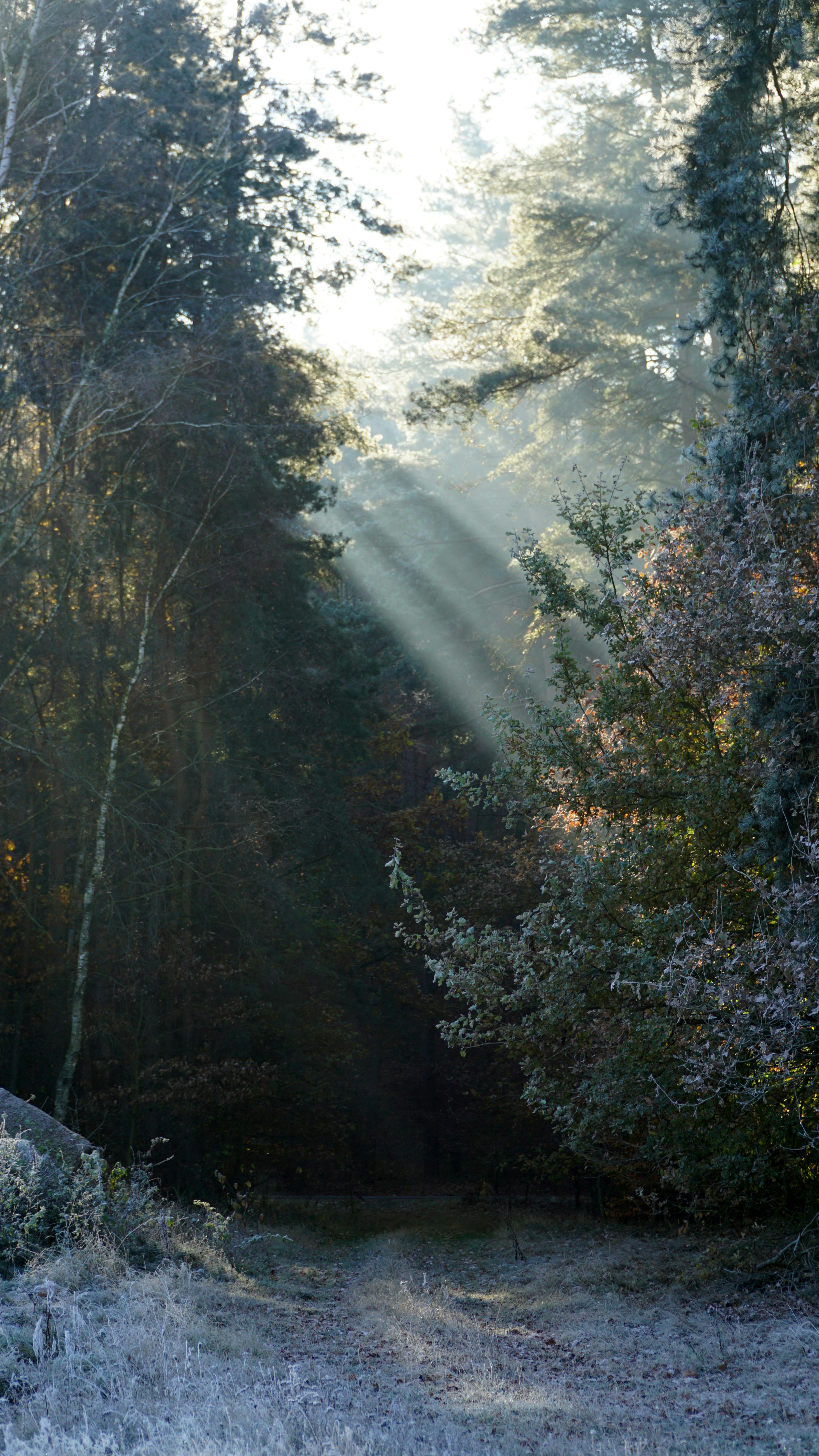 10 Enchanting Hidden Gems in Bristol: Uncover the City’s Best-Kept Secrets