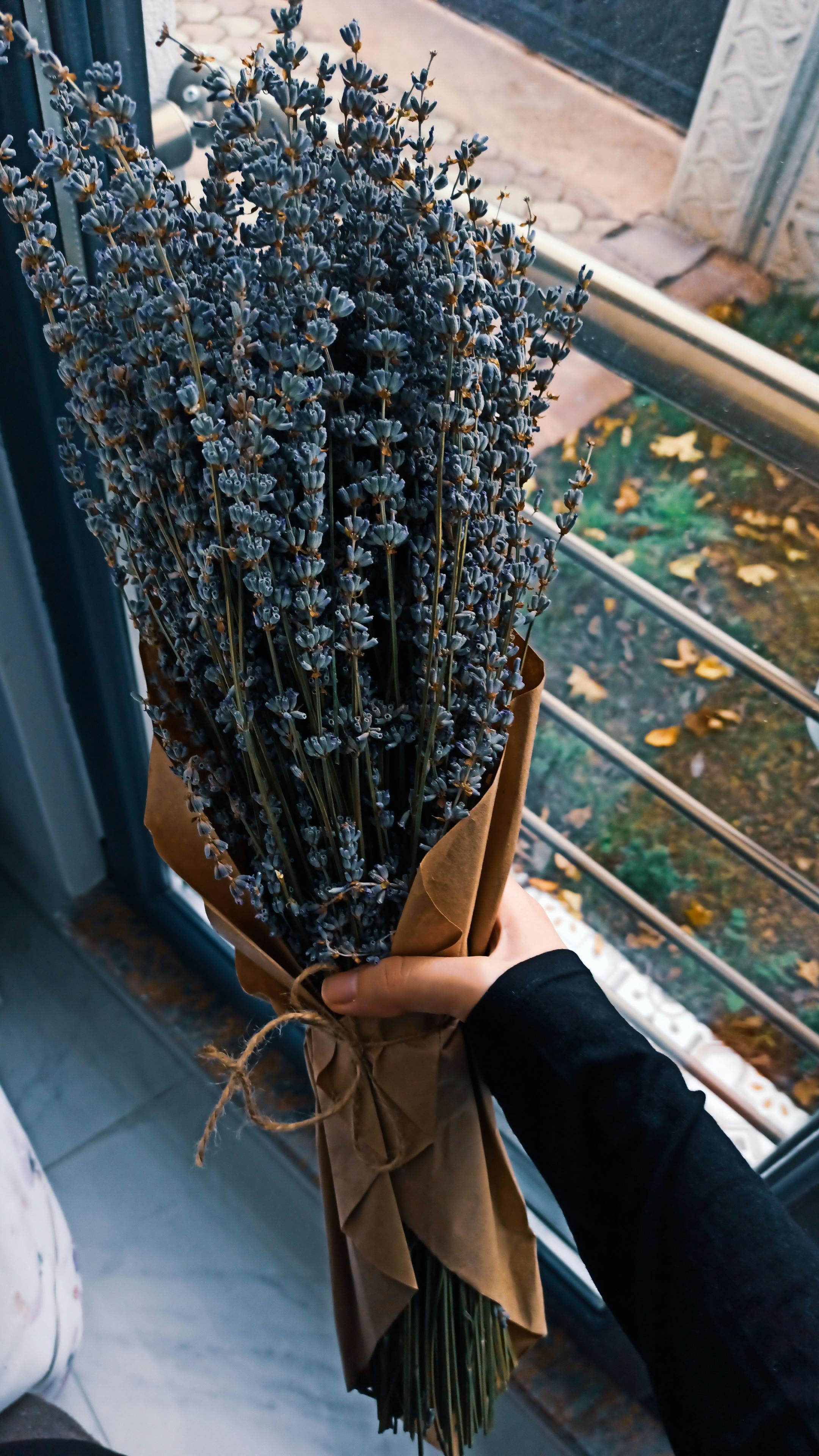 A beautiful bouquet of lavender flowers held by a person near a window, creating a serene atmosphere.