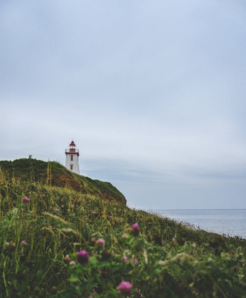 Lighthouse By The Cliff