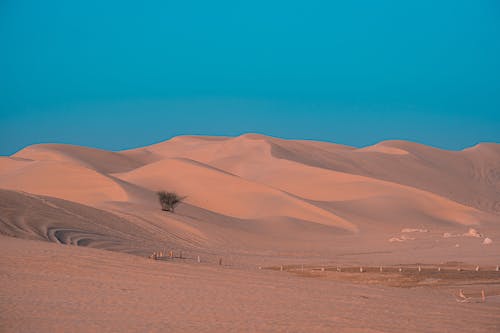 Dunes on Barren Desert