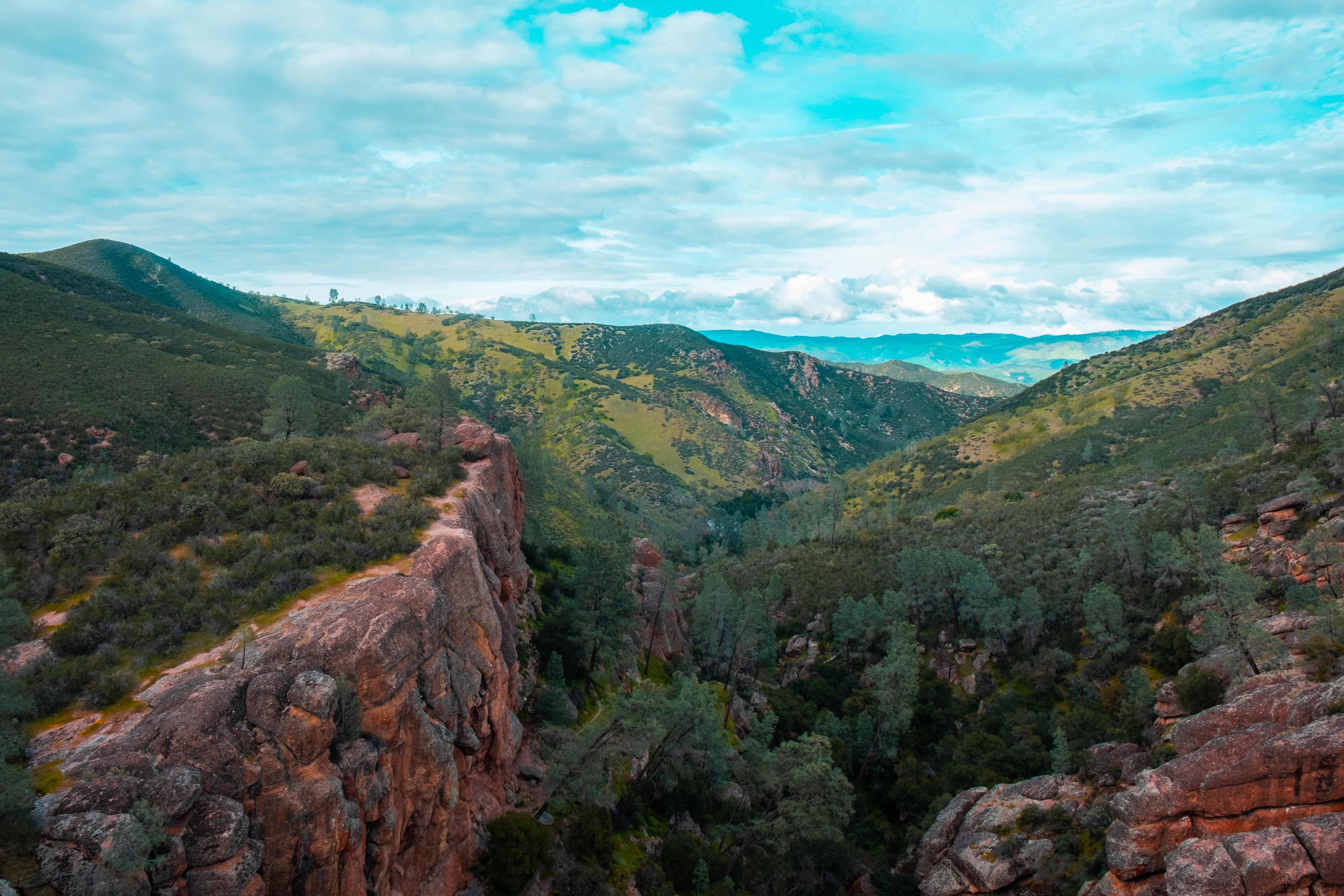 Forest and Rocks on Hills · Free Stock Photo