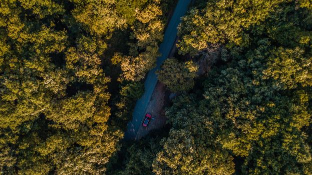 Drone shot of a red car driving through a dense green forest on a sunny day.