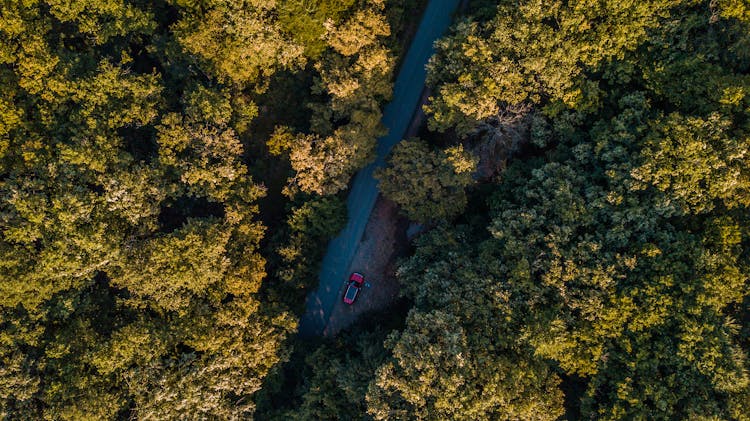 Car Parked On Side Of Road In Forest