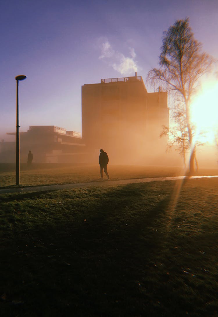 Silhouette Of A Man Walking In A Park At Sunset 