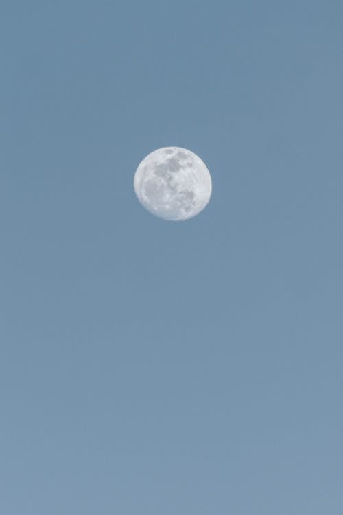 Almost Full Moon Visible in Daylight 