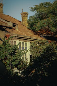 Old cottage with greenery-covered walls and rustic charm, highlighting a serene and timeless vibe.