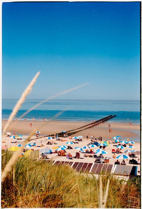 People Sunbathing on the Beach 