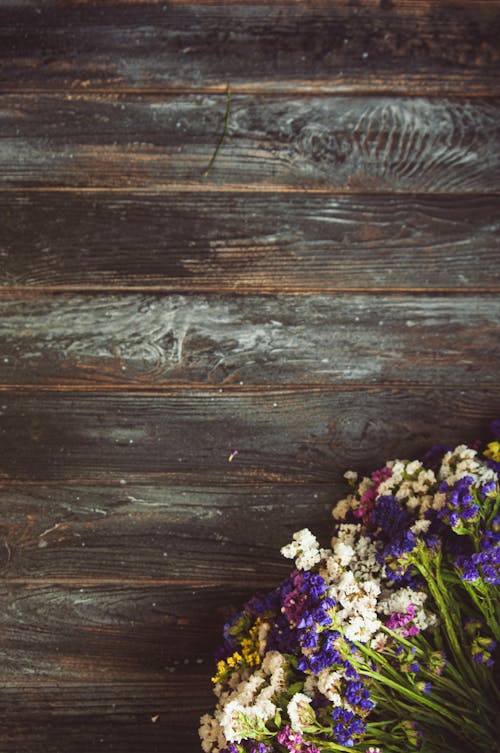 Colorful Flowers and Wooden Wall