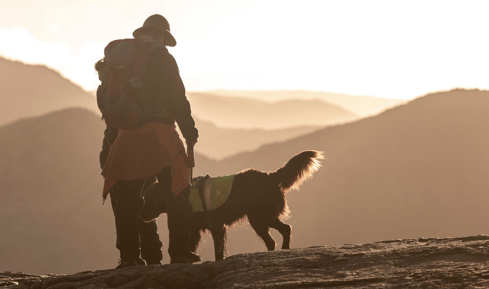Hiker with a dog in the mountains at sunrise