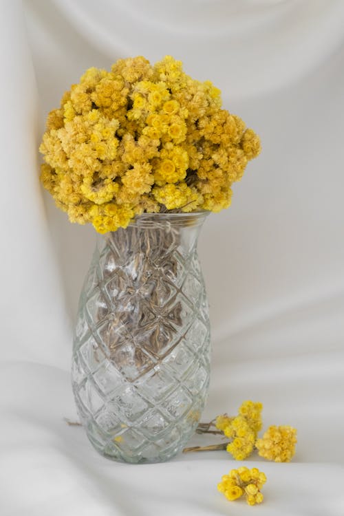 Foto stok gratis bejana, buket, bunga kuning