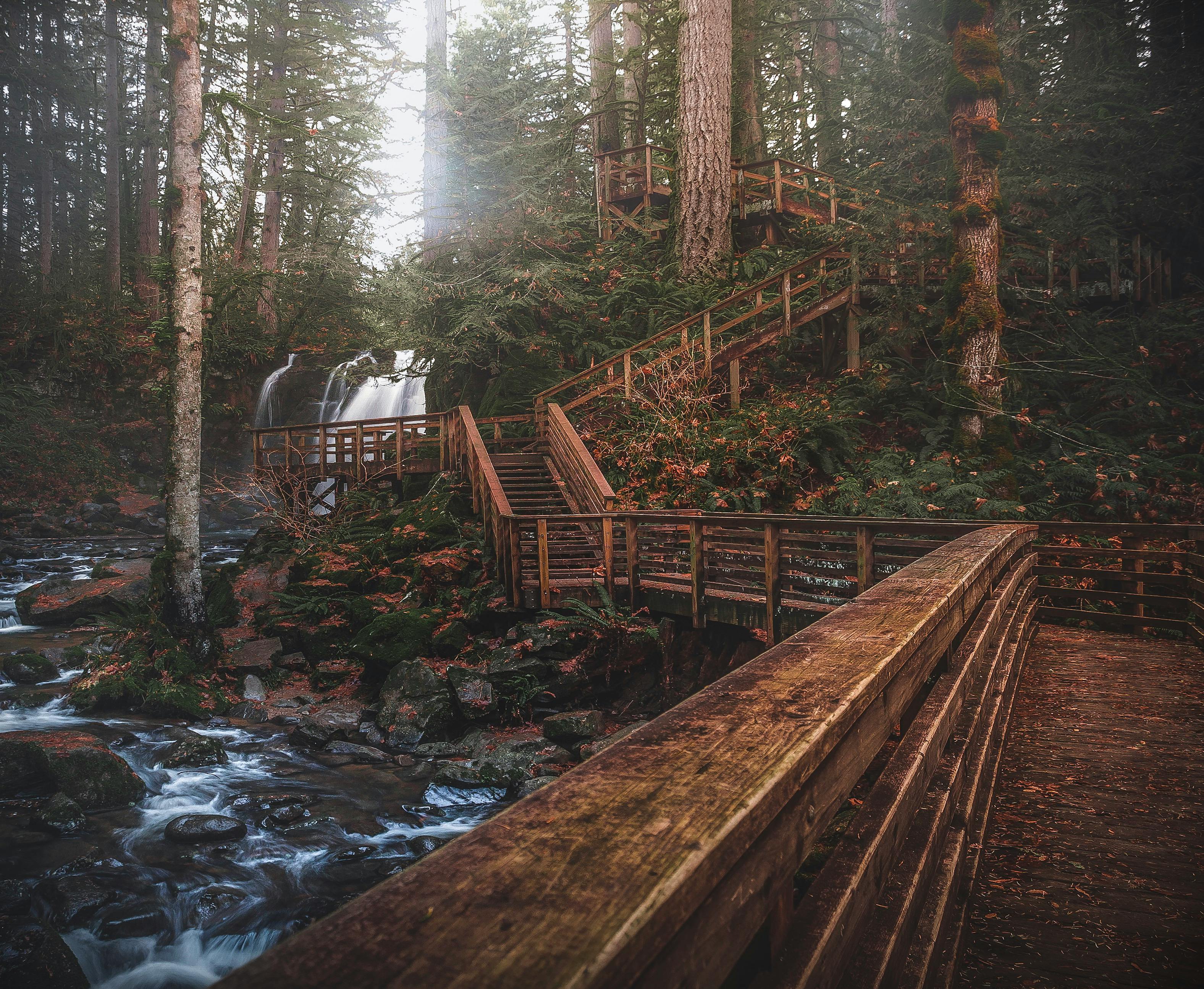 秋天，森林小径宁静，有瀑布和木制步道