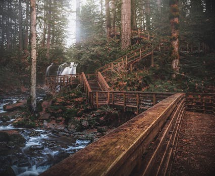 秋天，森林小径宁静，有瀑布和木制步道