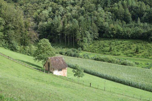 Shed and Field on Hill in Countryside