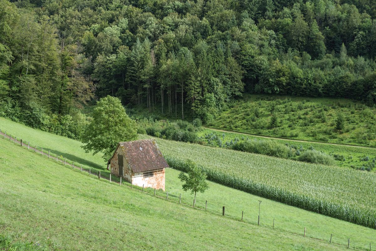 Hochbeet konstruktion holz metall stein im vergleich — helpful reference illustration