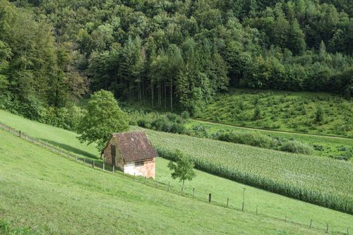 Free Peaceful rural scene with small stone shed surrounded by lush greenery and forests. Stock Photo