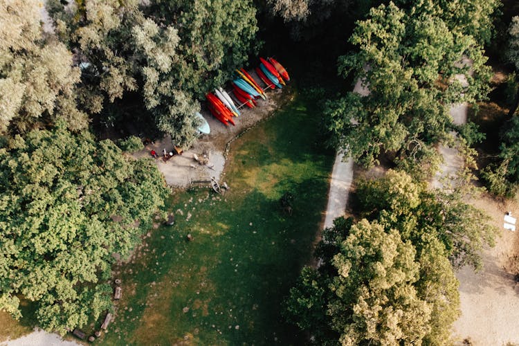 Boats Stacked Near River In Forest