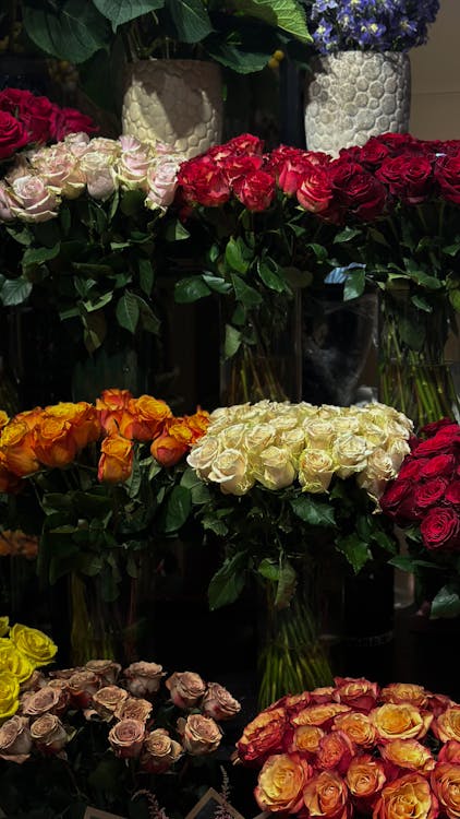 Darmowe zdjęcie z galerii z kwiaty, pionowy strzał, róże