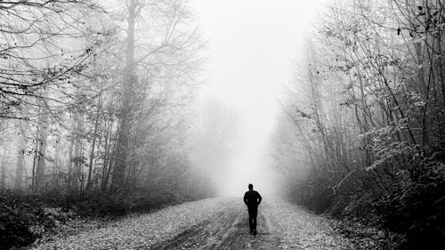 Person Walking under Fog in Forest