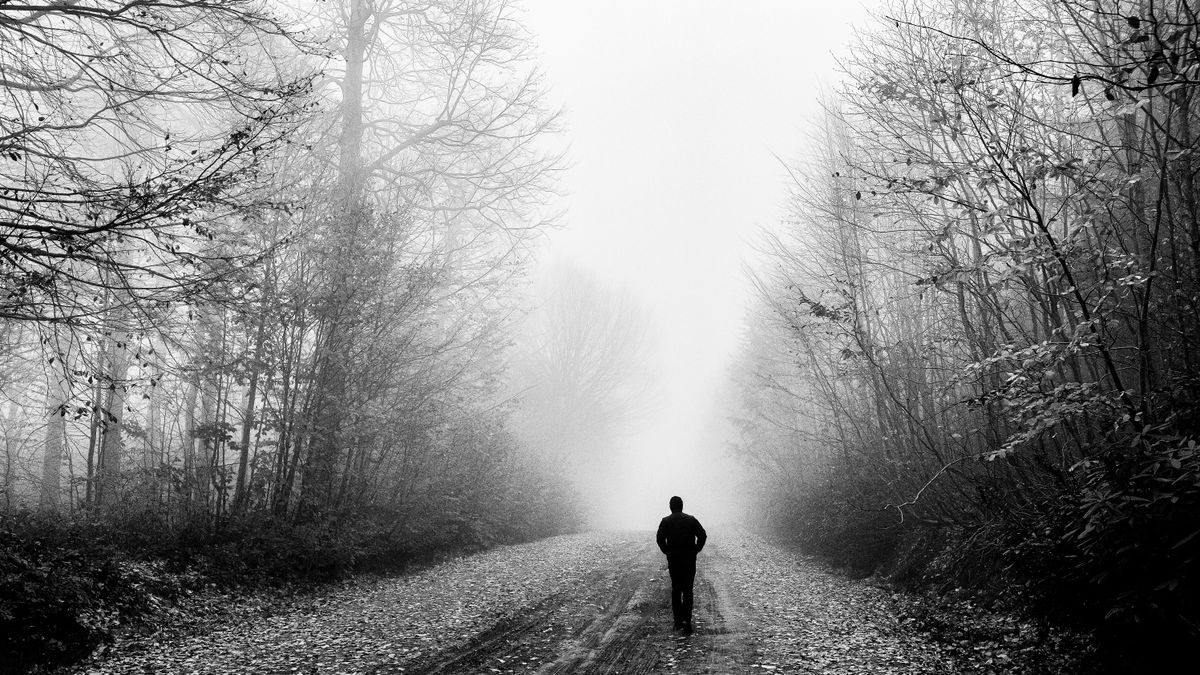 Person in a Gown Walking in a Foggy Forest · Free Stock Photo