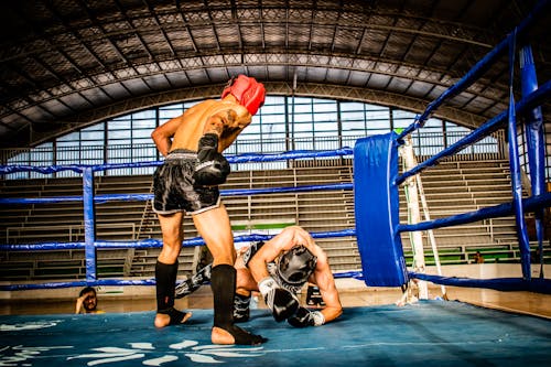 Gratis lagerfoto af boksere, boksning, kamp sport