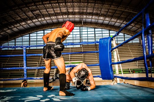 Two Boxers in a Ring