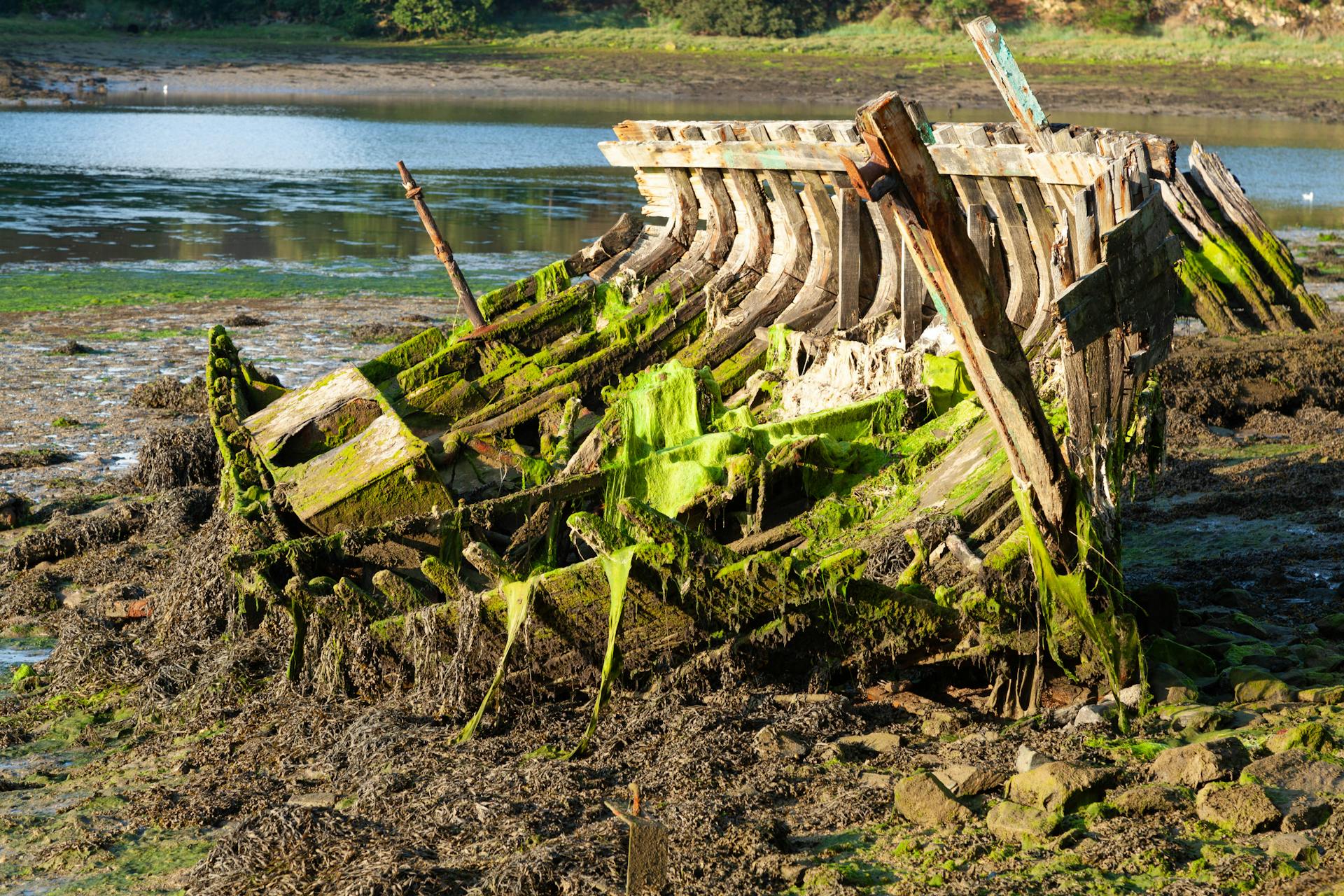 Explore the moss-covered remains of a shipwreck in Douarnenez, France.