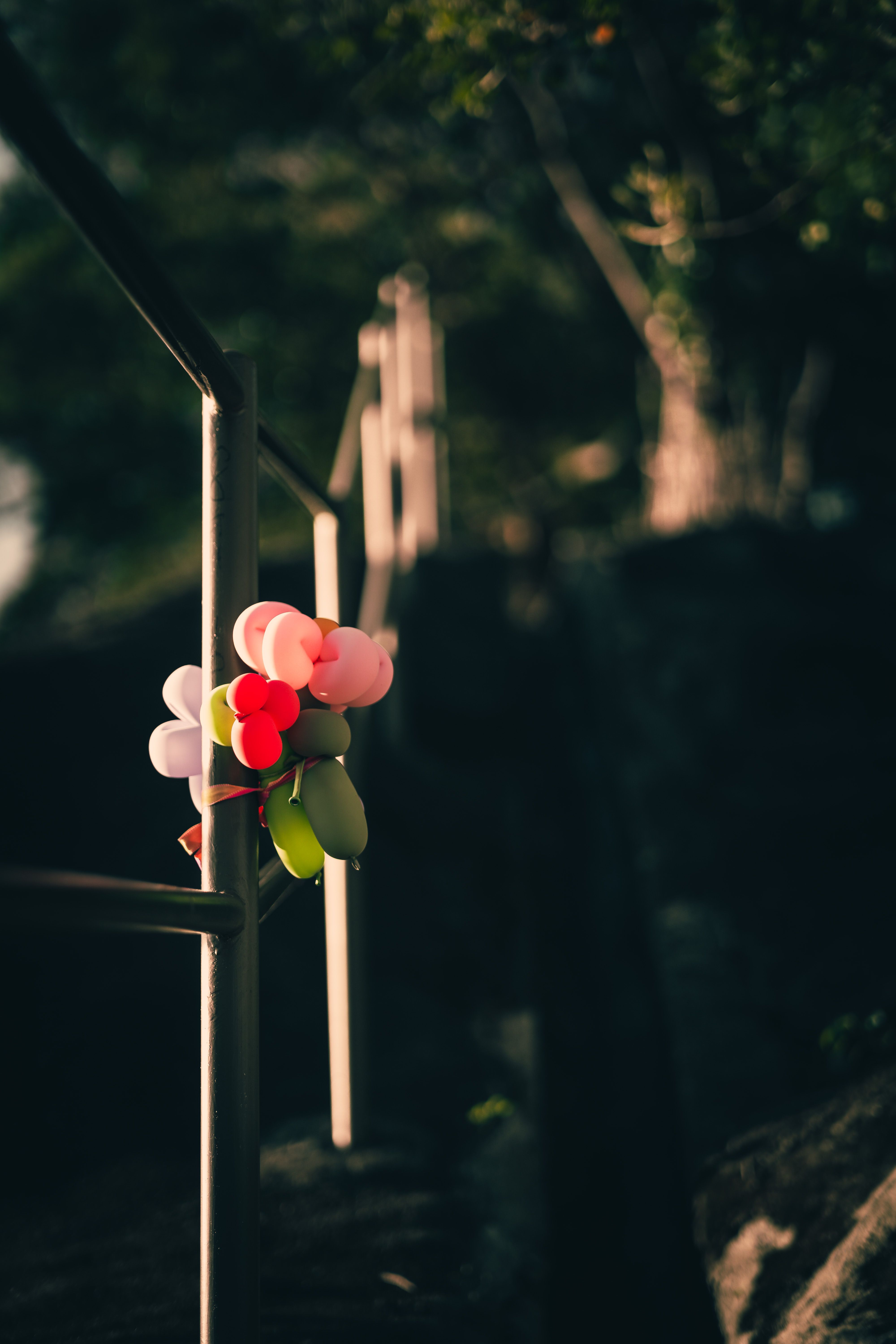 Foto de stock gratuita sobre actitud festiva, al aire libre, alegre ...