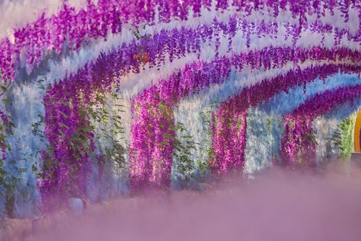 Explore the vibrant hues of a wisteria tunnel in a picturesque garden setting.