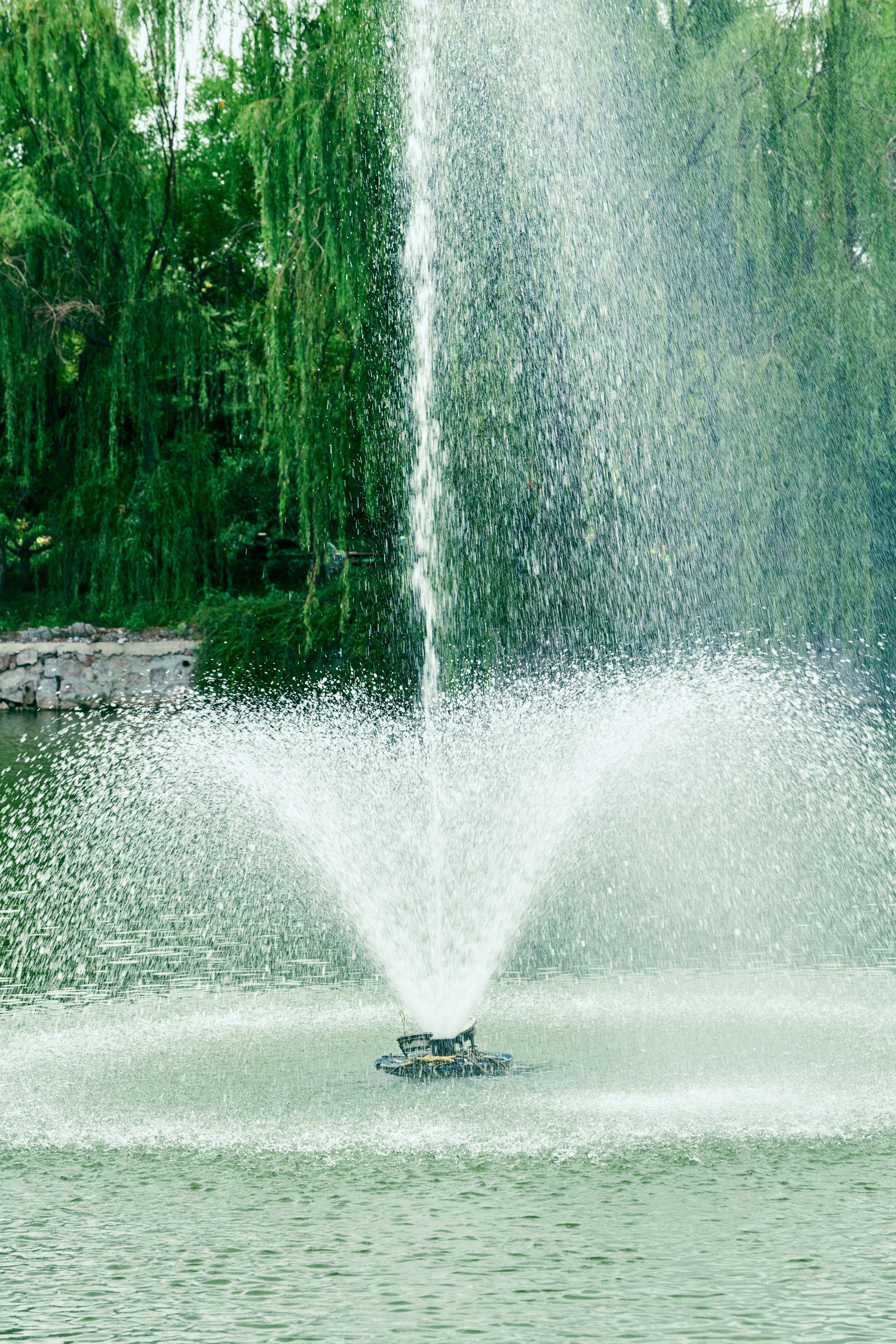 A Water Fountain in a Park · Free Stock Photo