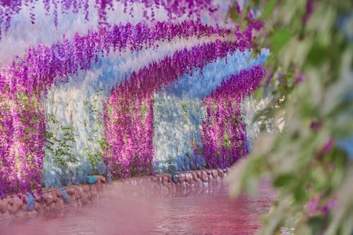 Foto profissional grátis de abundância, água, arte