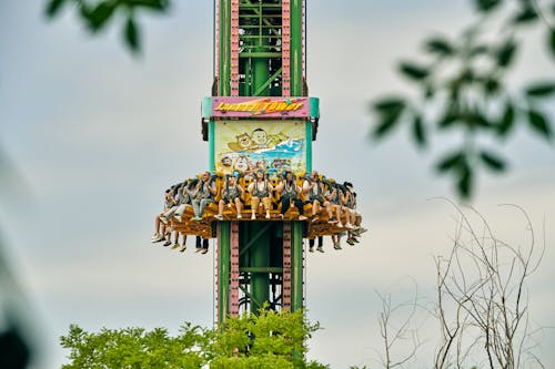 A Drop Tower in an Amusement Park 