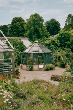 Delightful greenhouse nestled among trees and vibrant plants, showcasing natural beauty.