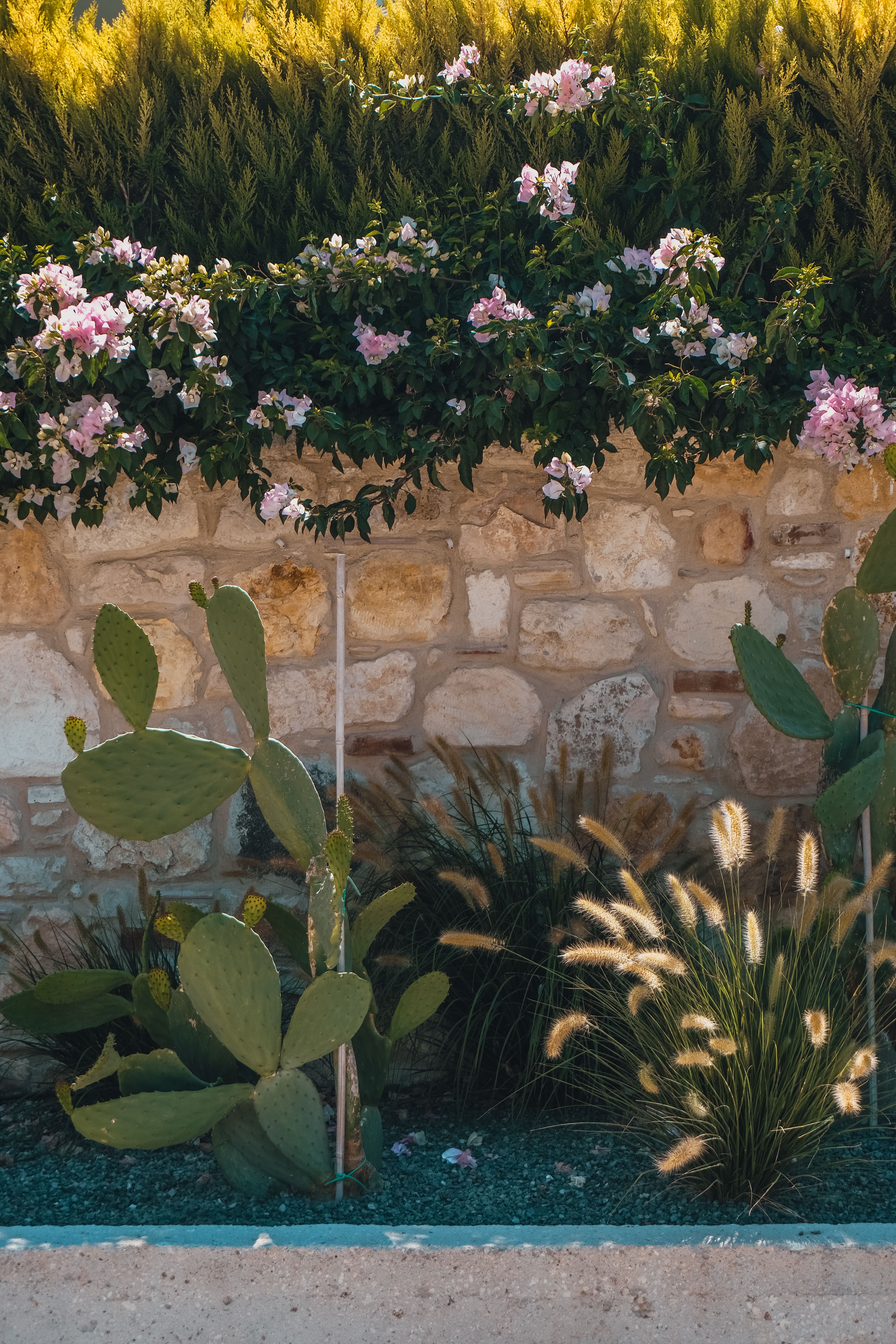 architetti garden designer